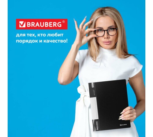 Папка 100 вкладышей BRAUBERG стандарт, черная, 0,9 мм, 221610