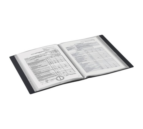 Папка 100 вкладышей BRAUBERG стандарт, черная, 0,9 мм, 221610