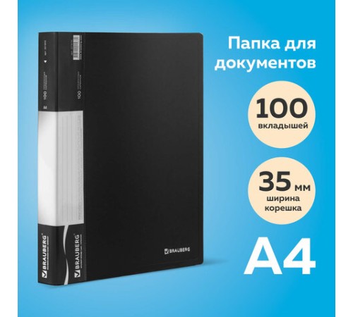 Папка 100 вкладышей BRAUBERG стандарт, черная, 0,9 мм, 221610