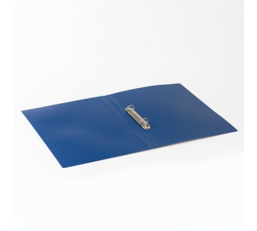 Папка на 2 кольцах BRAUBERG 