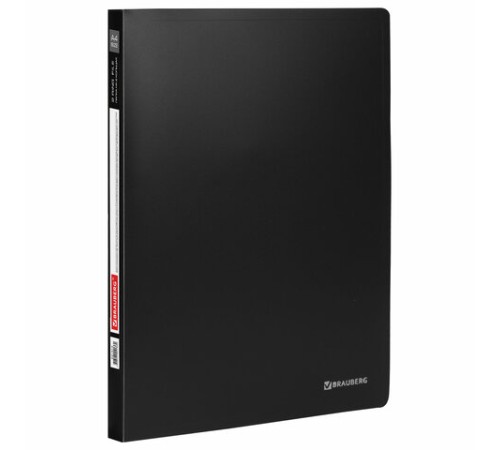 Папка на 2 кольцах BRAUBERG 