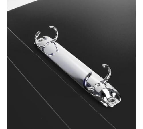 Папка на 2 кольцах BRAUBERG 