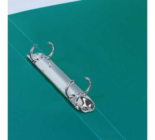 Папка на 2 кольцах BRAUBERG 