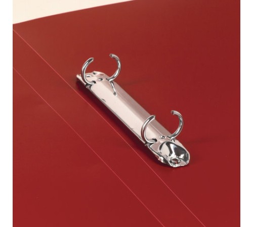 Папка на 2 кольцах BRAUBERG 