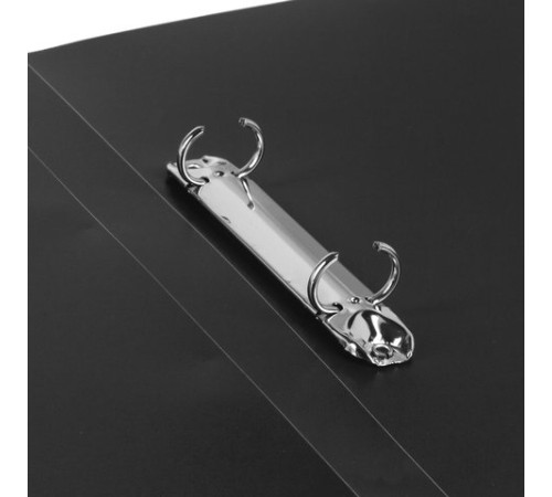 Папка на 2 кольцах BRAUBERG 