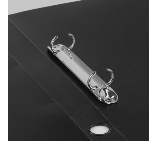 Папка на 2 кольцах BRAUBERG 