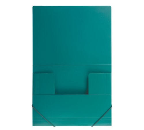 Папка на резинках BRAUBERG, стандарт, зеленая, до 300 листов, 0,5 мм, 221621