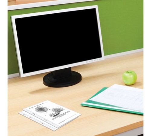 Папки-файлы МАЛОГО ФОРМАТА (148х210 мм), А5, ВЕРТИКАЛЬНЫЕ, КОМПЛЕКТ 100 шт., 35 мкм, BRAUBERG, 221714