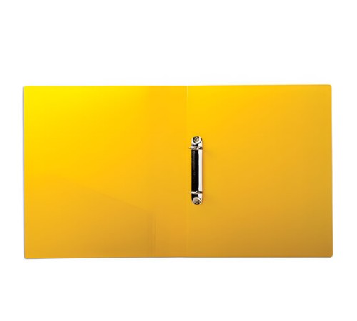 Папка на 2 кольцах BRAUBERG 