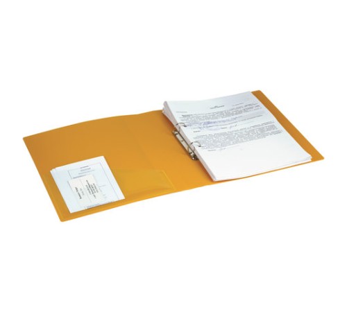 Папка на 2 кольцах BRAUBERG 