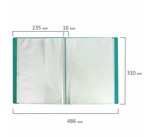 Папка 20 вкладышей BRAUBERG 