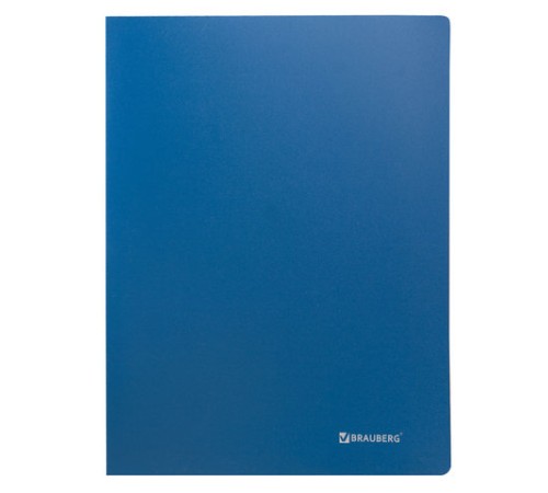 Папка 100 вкладышей BRAUBERG 