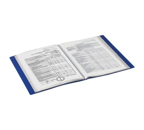 Папка 100 вкладышей BRAUBERG 