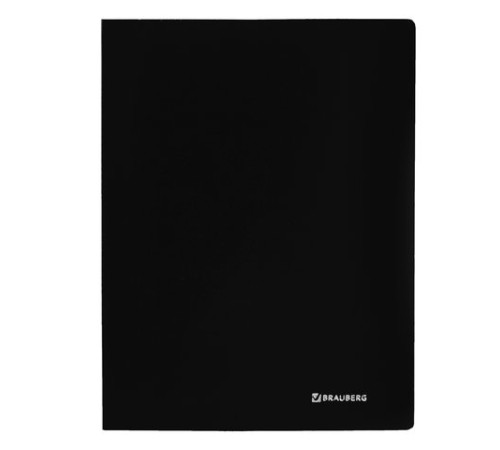 Папка 100 вкладышей BRAUBERG 