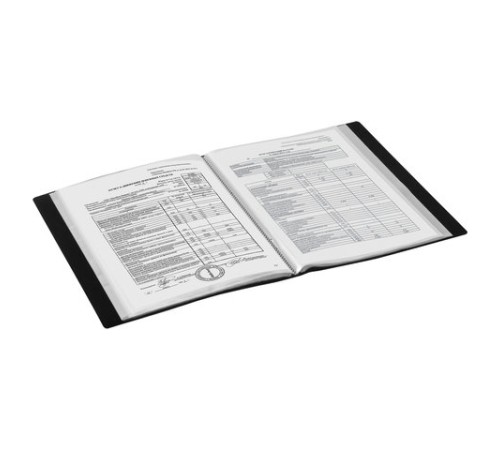 Папка 100 вкладышей BRAUBERG 