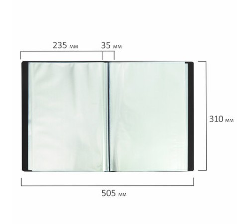 Папка 100 вкладышей BRAUBERG 