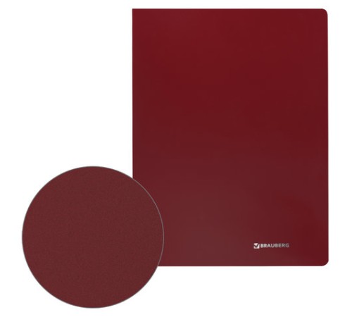 Папка с пластиковым скоросшивателем BRAUBERG 