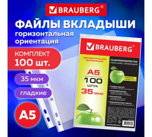 Папки-файлы МАЛОГО ФОРМАТА (148х210 мм), А5, ГОРИЗОНТАЛЬНЫЕ, КОМПЛЕКТ 100 шт., 35 мкм, BRAUBERG, 223085