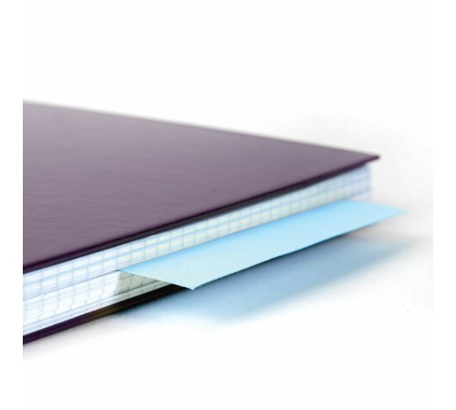 Разделители листов (полосы 240х105 мм) картонные, КОМПЛЕКТ 100 штук, голубые, BRAUBERG, 223973