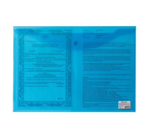 Папка-конверт с кнопкой БОЛЬШОГО ФОРМАТА (305х435 мм), А3, прозрачная, синяя, 0,18 мм, BRAUBERG, 224034