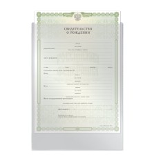 Папка-файл для свидетельства о рождении, 190х263 мм, без отверстий, ПВХ 120 мкм, 