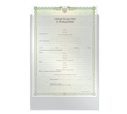 Папка-файл для свидетельства о рождении, 190х263 мм, без отверстий, ПВХ 120 мкм, 