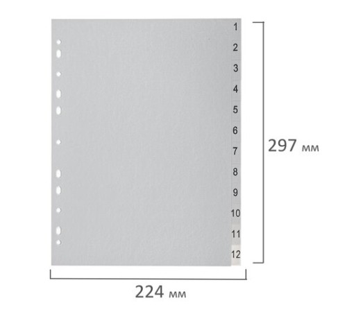 Разделитель пластиковый BRAUBERG, А4, 12 листов, цифровой 1-12, оглавление, серый, РОССИЯ, 225596