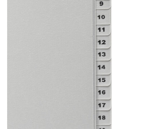 Разделитель пластиковый BRAUBERG, А4, 31 лист, цифровой 1-31, оглавление, серый, РОССИЯ, 225598