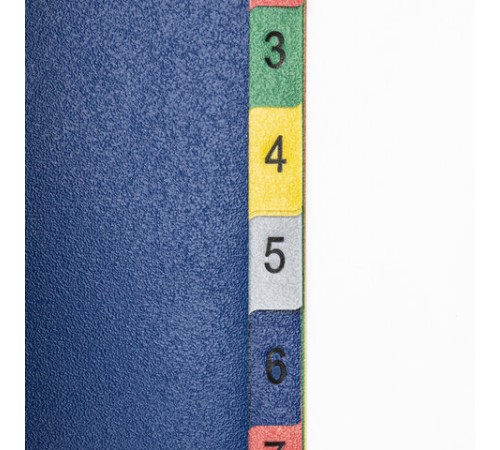 Разделитель пластиковый BRAUBERG, А4, 12 листов, цифровой 1-12, оглавление, цветной, РОССИЯ, 225610