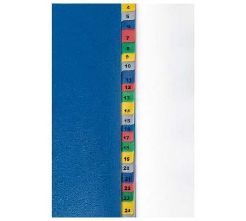 Разделитель пластиковый широкий BRAUBERG А4+, 31 лист, цифровой 1-31, оглавление, цветной, 225624