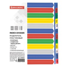 Разделитель пластиковый широкий BRAUBERG, А4+, 12 листов, Январь-Декабрь, оглавление, цветной, 225625