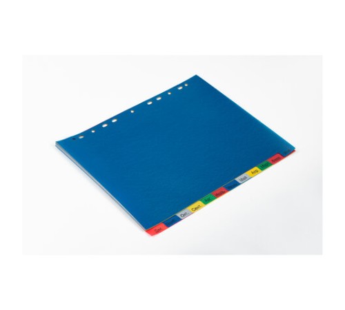 Разделитель пластиковый широкий BRAUBERG, А4+, 12 листов, Январь-Декабрь, оглавление, цветной, 225625