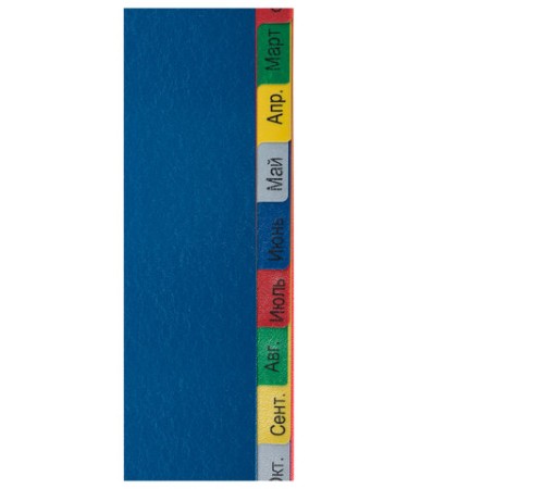 Разделитель пластиковый широкий BRAUBERG, А4+, 12 листов, Январь-Декабрь, оглавление, цветной, 225625