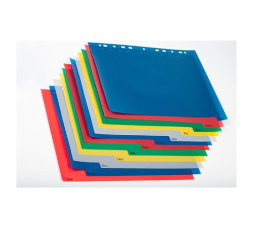 Разделитель пластиковый широкий BRAUBERG, А4+, 12 листов, Январь-Декабрь, оглавление, цветной, 225625