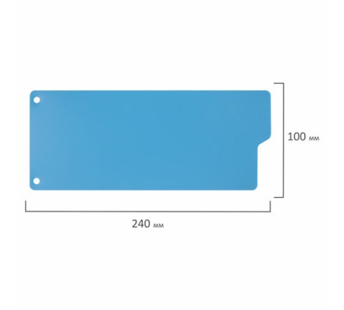 Разделитель пластиковый (полосы 100х240 мм), 12 листов, без индексации, по цветам, BRAUBERG, 225632