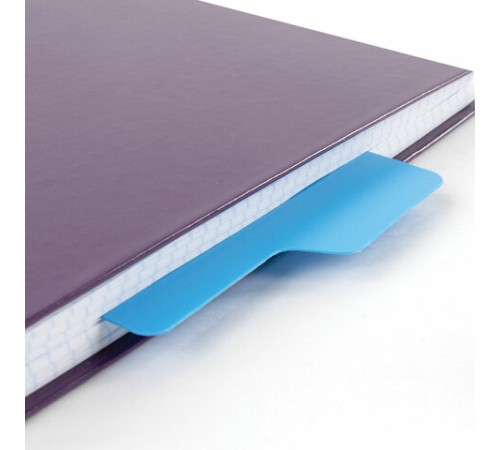 Разделитель пластиковый (полосы 100х240 мм), 12 листов, без индексации, по цветам, BRAUBERG, 225632