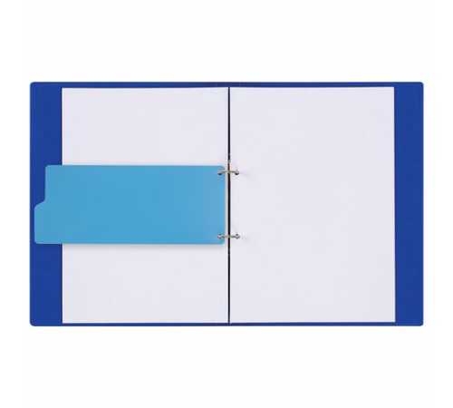 Разделитель пластиковый (полосы 100х240 мм), 12 листов, без индексации, по цветам, BRAUBERG, 225632