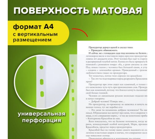 Папки-файлы перфорированные А4 STAFF 