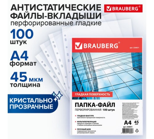Папки-файлы перфорированные, А4, BRAUBERG 