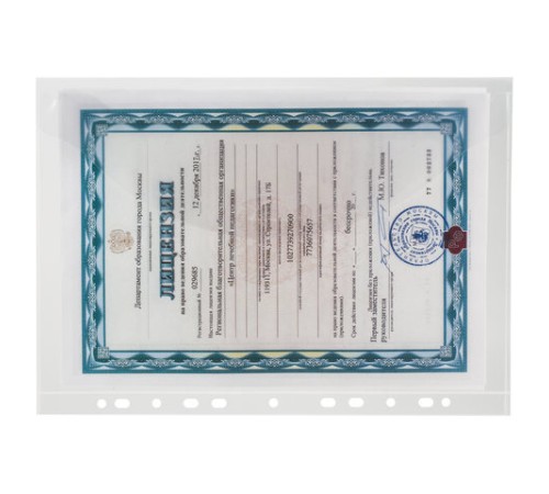 Папка-конверт с перфорацией BRAUBERG, А4, КОМПЛЕКТ 10 шт., до 50 листов, прозрачная, 0,15 мм, 227312