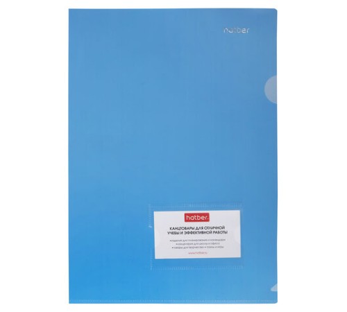 Папка-уголок с карманом для визитки, А4, синяя, 0,18 мм, AGкм4 00102, V246955