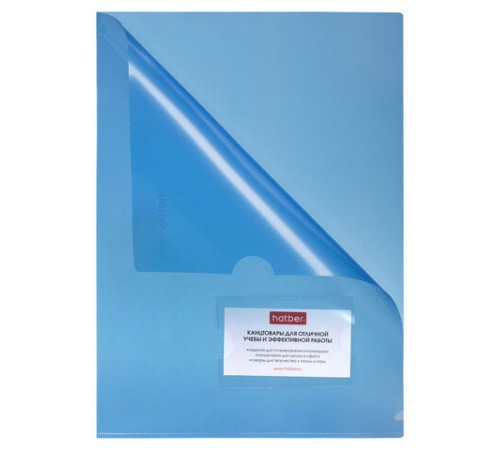 Папка-уголок с карманом для визитки, А4, синяя, 0,18 мм, AGкм4 00102, V246955