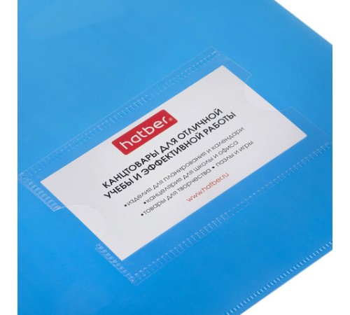 Папка-уголок с карманом для визитки, А4, синяя, 0,18 мм, AGкм4 00102, V246955