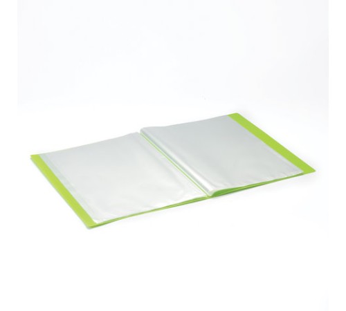 Папка 20 вкладышей BRAUBERG 