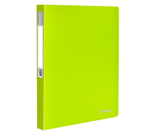 Папка на 2 кольцах BRAUBERG 