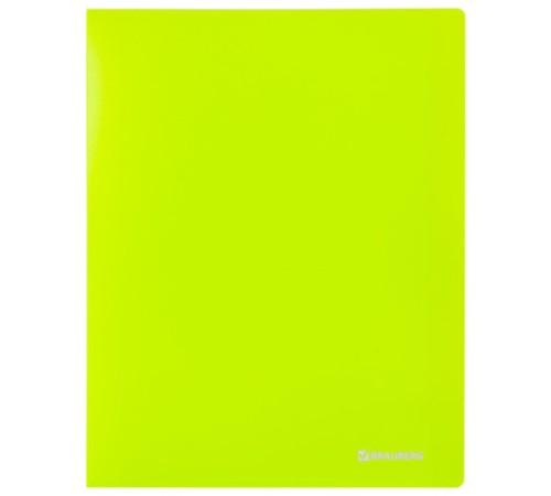 Папка на 2 кольцах BRAUBERG 