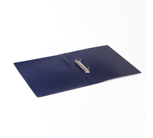 Папка на 2 кольцах BRAUBERG 