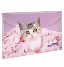 Папка-конверт с кнопкой ЮНЛАНДИЯ 