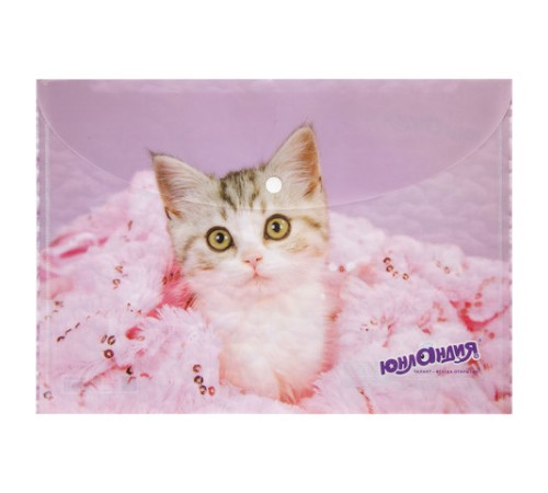 Папка-конверт с кнопкой ЮНЛАНДИЯ 