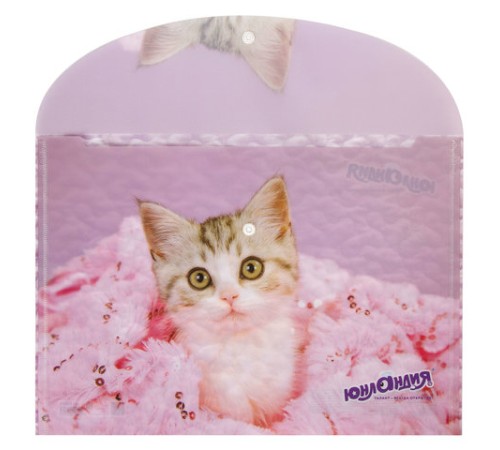 Папка-конверт с кнопкой ЮНЛАНДИЯ 